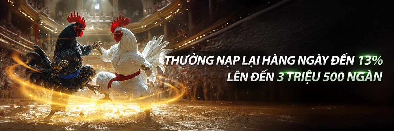 Các phương thức thanh toán nhanh chóng và an toàn tại 555win 22